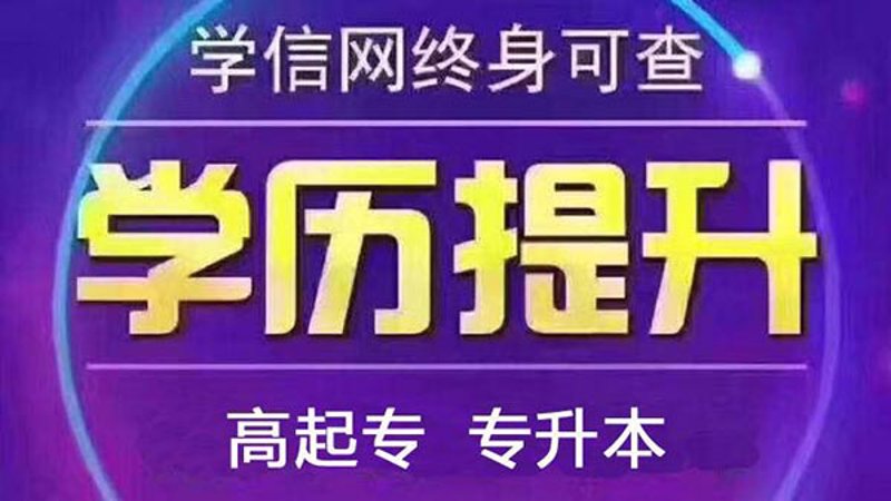 探索专升本培训的最新动态与发展机遇